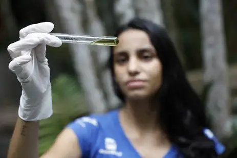 d6a3294 Educação ambiental valoriza Mata Atlântica